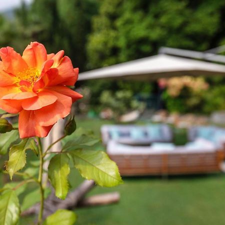 Parkhotel Brenscino Brissago Exterior photo